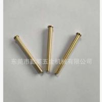 廠家加工定制加長(zhǎng)銅銷釘，專業(yè)走芯機(jī)加工，