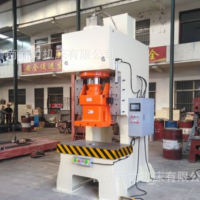 沖床工廠專業定制生產直銷 速度快高精度 160T液壓沖床