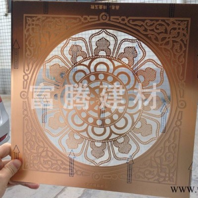 樂斯爾玫瑰金鋁窗花花樣式兒童防護網(wǎng) 防盜窗 鑄花鋁窗花防護陽臺窗紗門窗訂做