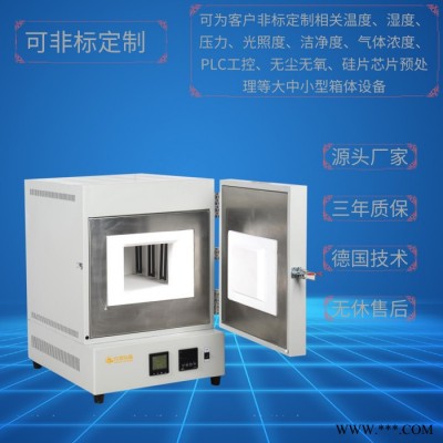 陶瓷纖維馬弗爐DTM-10B-30 上海廠家 定做定制電阻爐 管式爐 氣氛爐 燒結爐 高溫爐 退火爐 臺車爐等