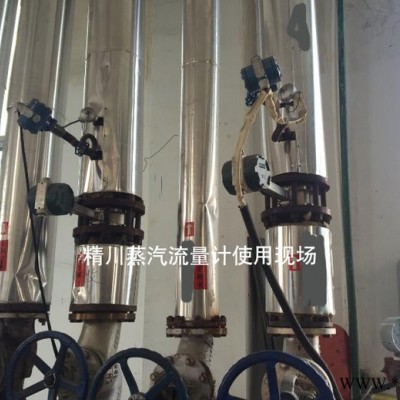 渦街流量計 電鍍廠渦街流量計