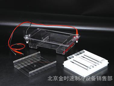 瓊脂糖水平電泳儀槽(中號) DYCP-31E型 橋式設(shè)計(jì) 節(jié)省緩沖液