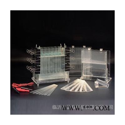 供應(yīng)臨沂盈嘉DYCZ-21多用途電泳槽