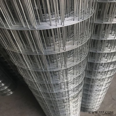 宏樂 安平改拔絲電焊網(wǎng) 電鍍鋅焊接網(wǎng) 冷鍍鋅電焊鐵絲網(wǎng)**價(jià)廉